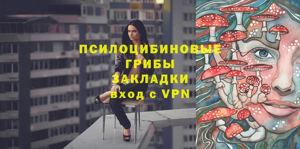 гидра Михайловск