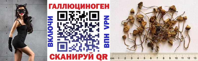 Галлюциногенные грибы MAGIC MUSHROOMS  Купить закладки  Железноводск 